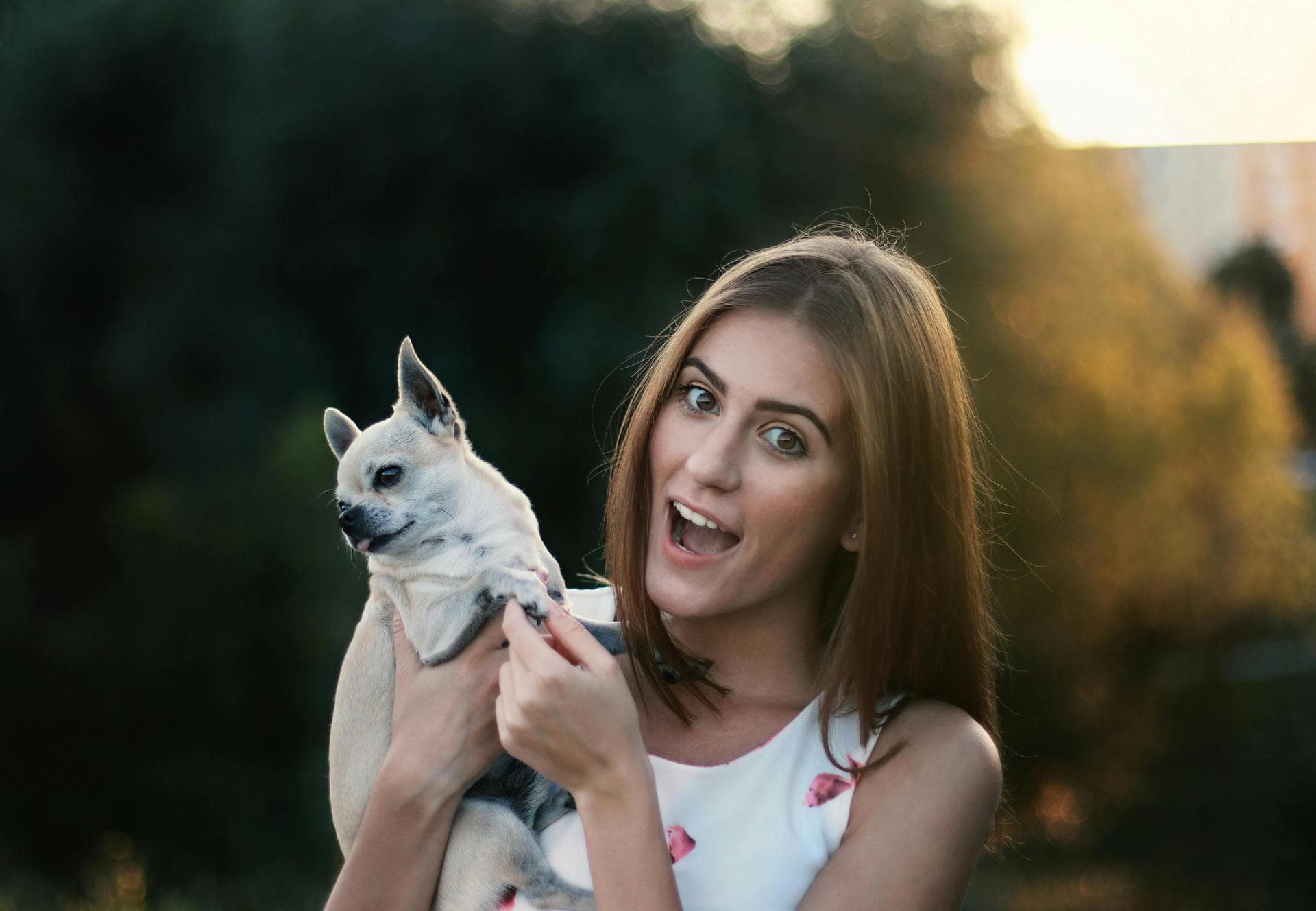 Specialist Vets in Stamford