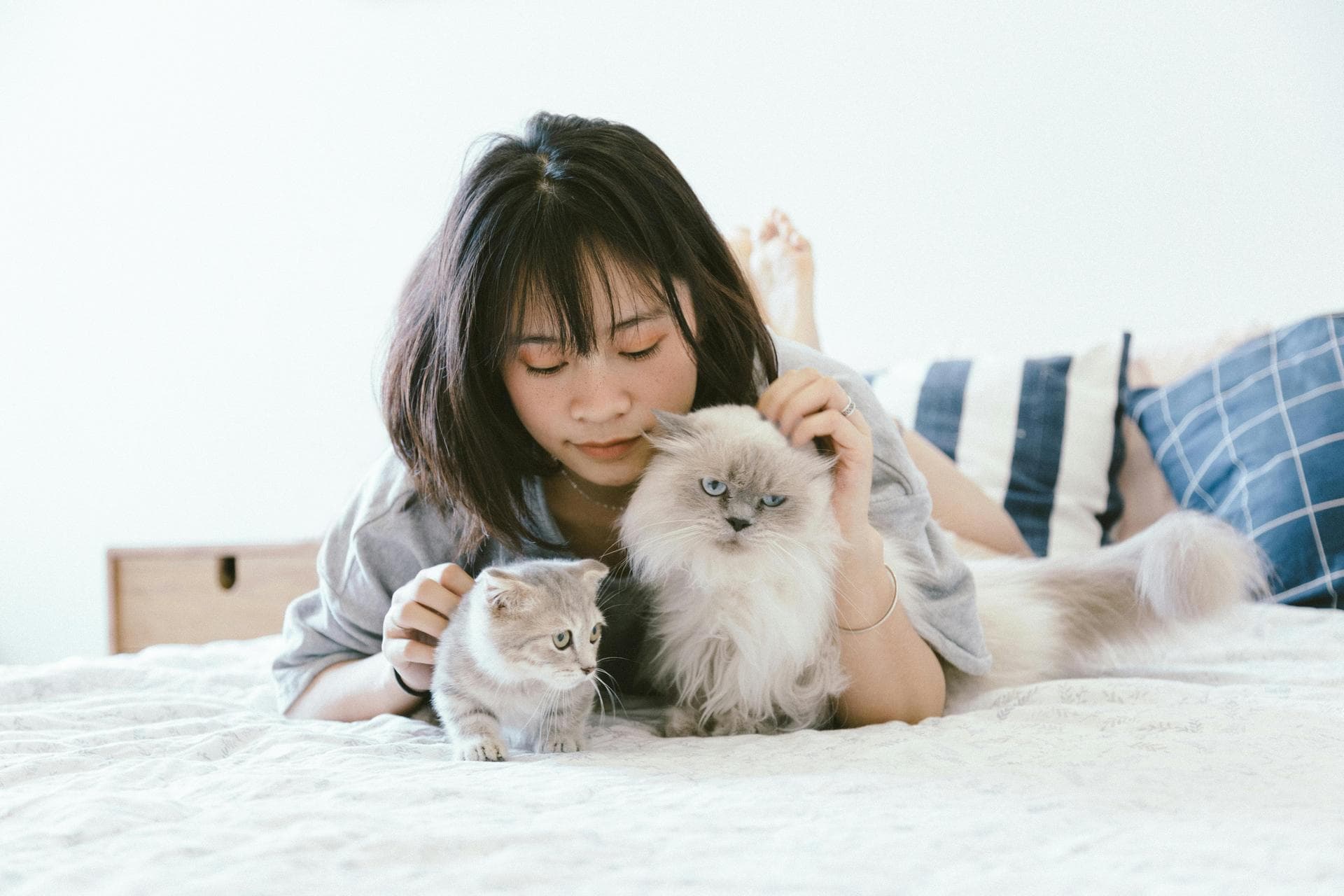 Dog & Cat Vets in Stamford